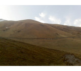 21102017585net 21102017585net