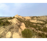 18102017175net 18102017175net