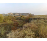 18102017164net 18102017164net