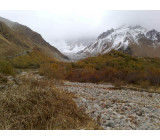 22102017290net 22102017290net