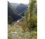 20102017191net 20102017191net