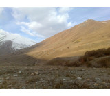 22102017609net 22102017609net