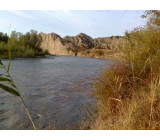 18102017166net 18102017166net