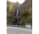 20102017215net 20102017215net