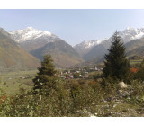 21102017240net 21102017240net