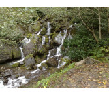 23102017321net 23102017321net