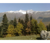 21102017246net 21102017246net