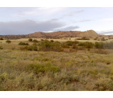 17102017149net 17102017149net