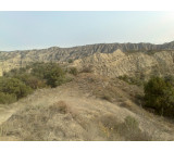 18102017378net 18102017378net