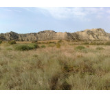 18102017168net 18102017168net