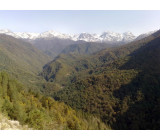 20102017197net 20102017197net