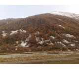 21102017586net 21102017586net