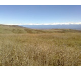 17102017131net 17102017131net