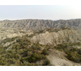 18102017176net 18102017176net