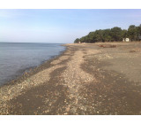 24102017690net 24102017690net