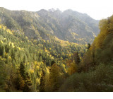 23102017307net 23102017307net