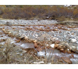 22102017292net 22102017292net