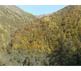 21102017256net 21102017256net