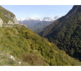 20102017195net 20102017195net