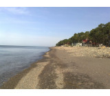 24102017322net 24102017322net