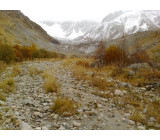 22102017295net 22102017295net