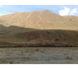 22102017611net 22102017611net