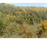 21102017228net 21102017228net