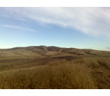 17102017330net 17102017330net