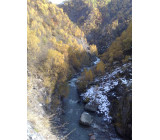 21102017272net 21102017272net