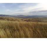 17102017134net 17102017134net