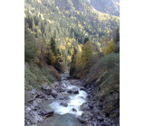 23102017306net 23102017306net