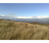 17102017136net 17102017136net