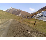 21102017288net 21102017288net