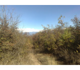 17102017313net 17102017313net