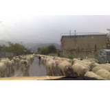 16102017301 2net 16102017301 2net