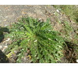 20102017432net 20102017432net