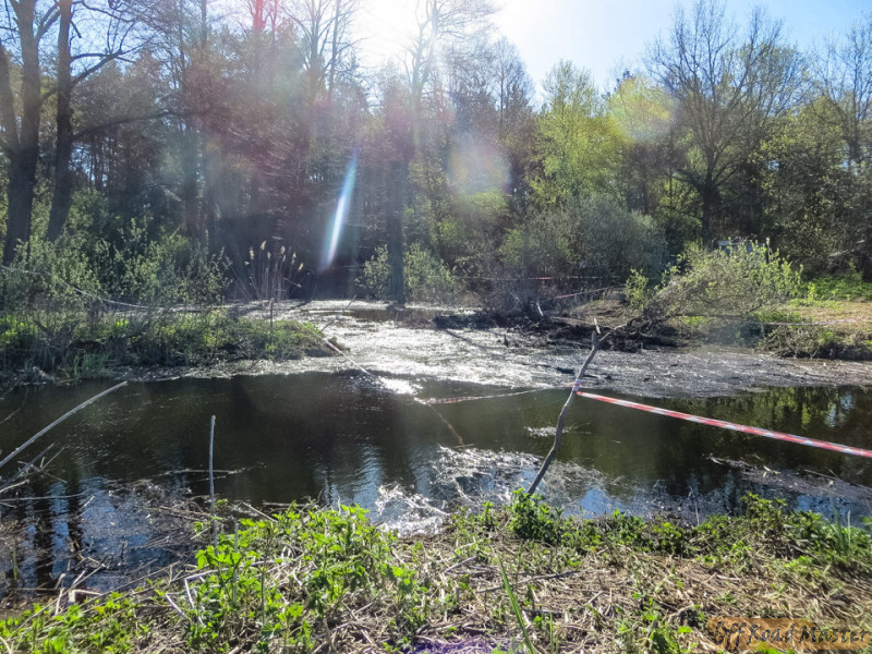 30171025 2090717307859939 2615278684658746383 O