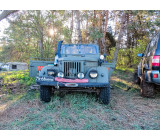 30171455 2090717241193279 4948045099631406825 O