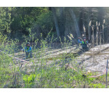 30425063 2090717364526600 6452475608748070648 O