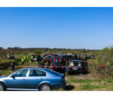 30419916 2090380894560247 2098995183573694380 O