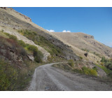 DSCN1274inet DSCN1274inet