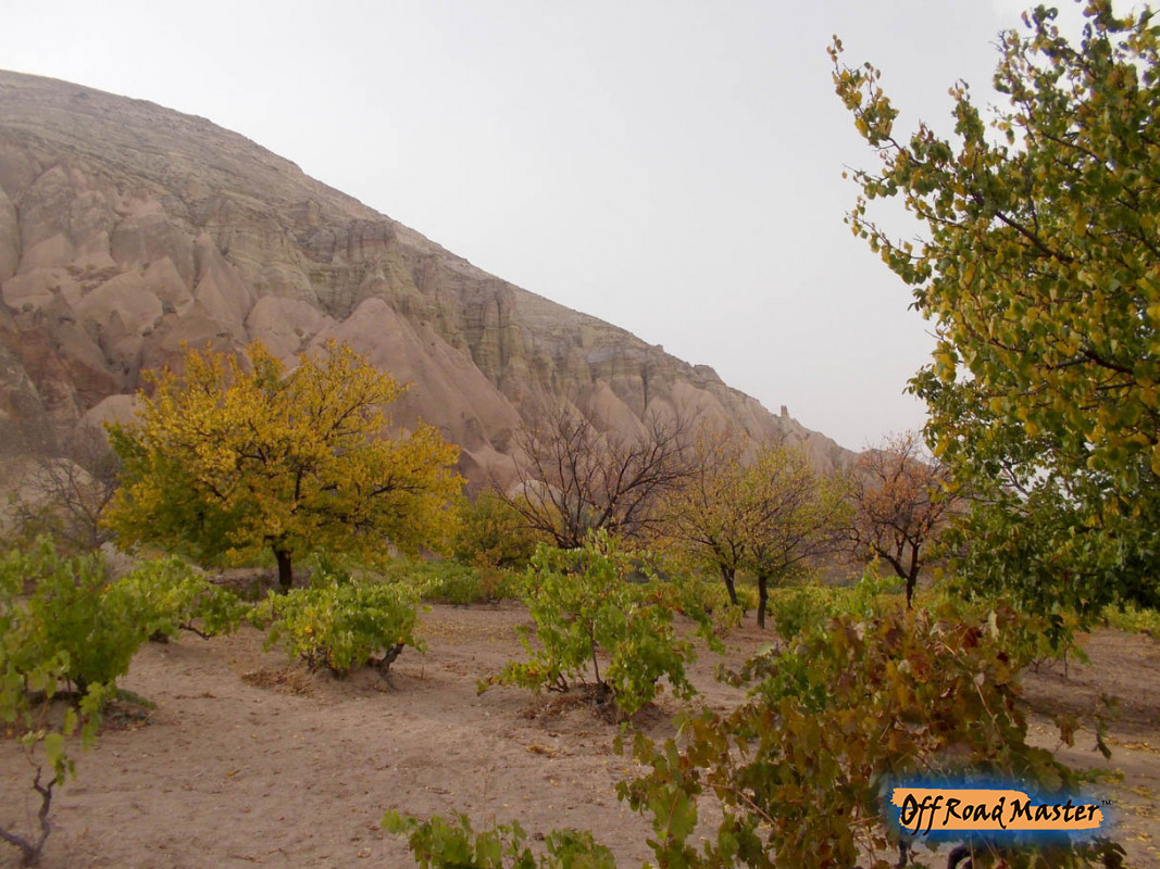 DSCN1657inet DSCN1657inet