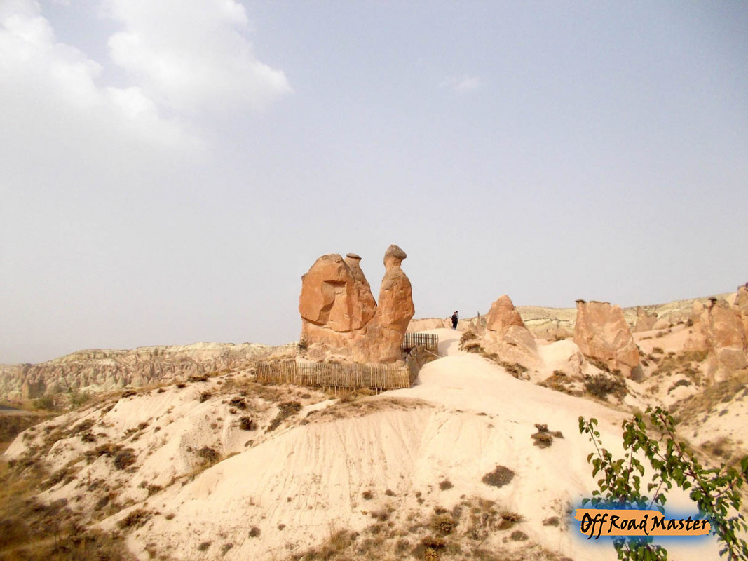 DSCN1606inet DSCN1606inet