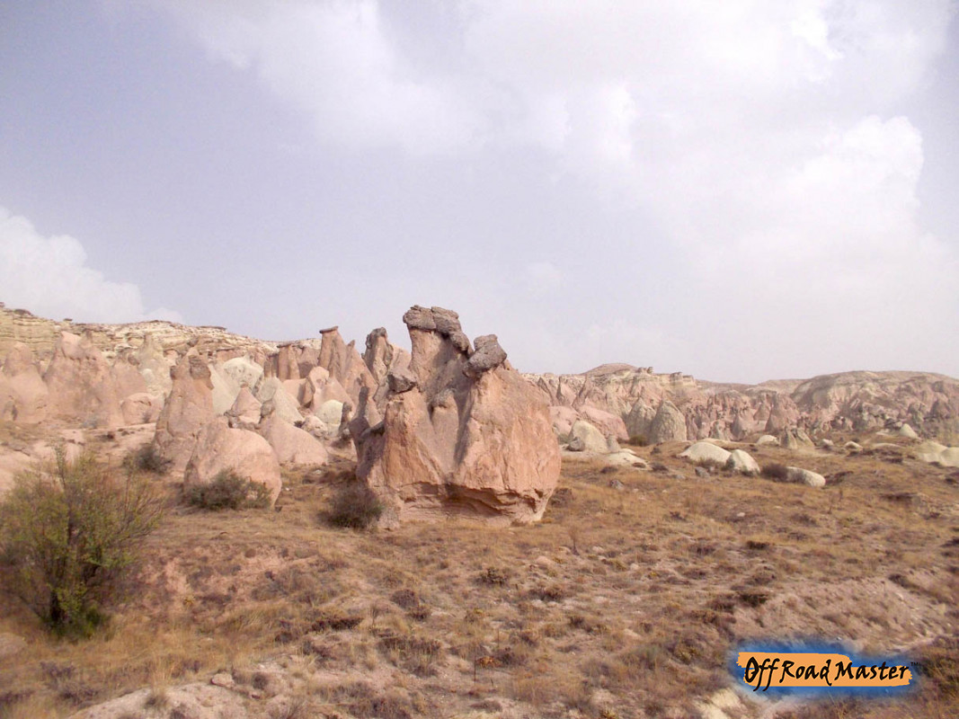 DSCN1643inet DSCN1643inet