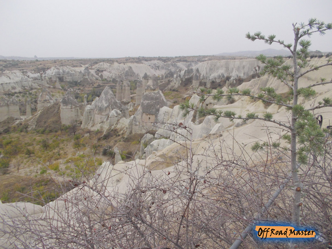 DSCN1724inet DSCN1724inet