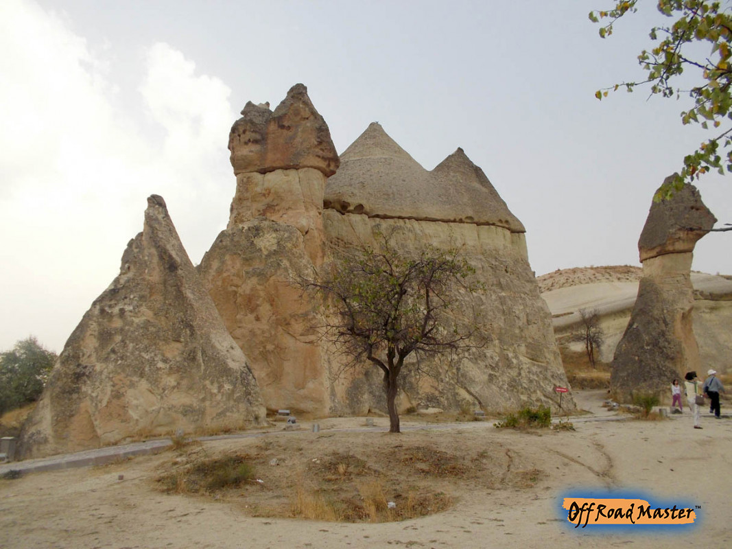 DSCN1686inet DSCN1686inet