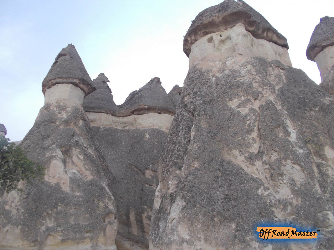 DSCN1681inet DSCN1681inet