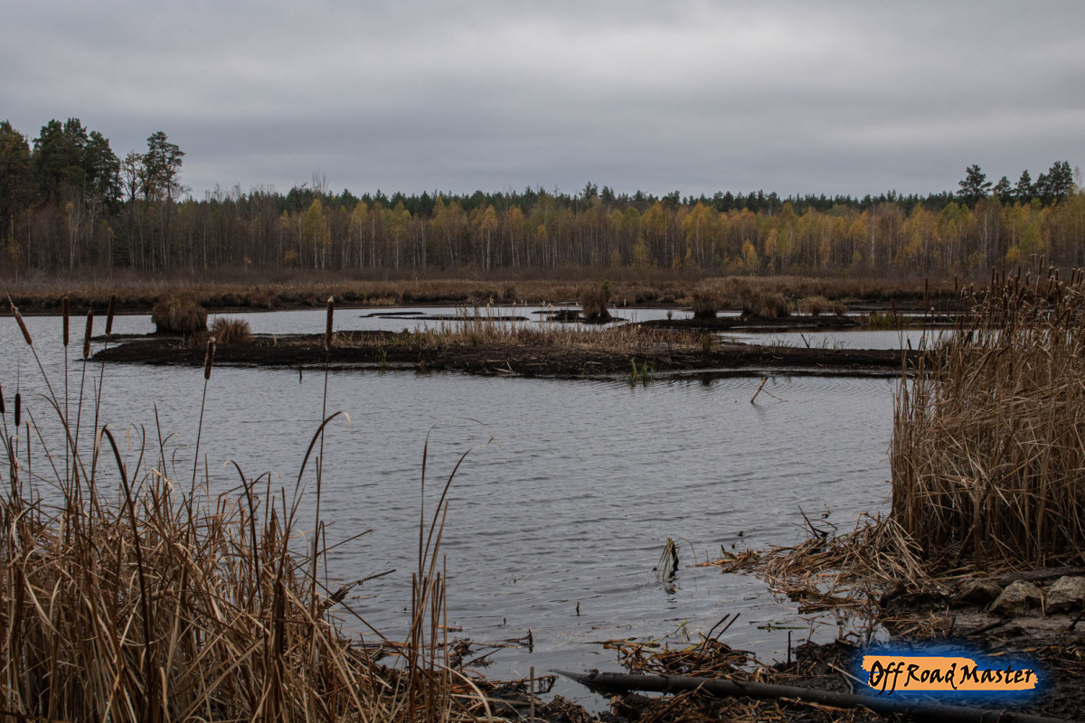 Гаплик (267).jpg