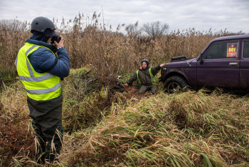 Гаплик (180) Гаплик (180)