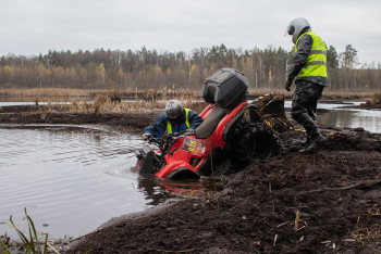 Гаплик (247).jpg Гаплик (247).jpg